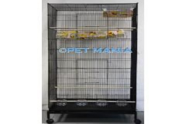 Pet Mania