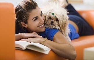 Pet Sitters