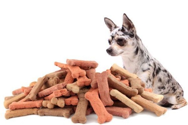 Pet Supplies