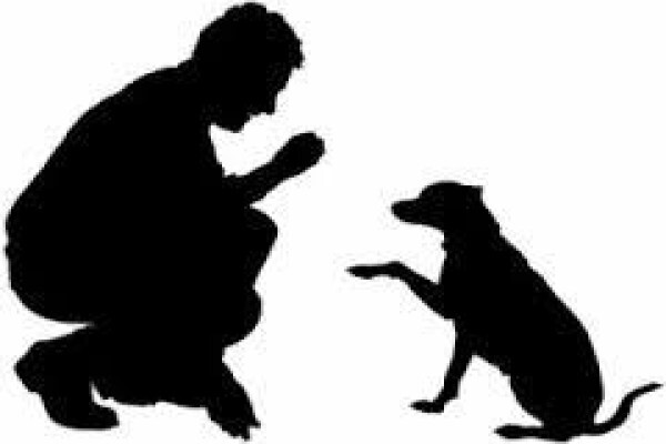 Pet Supplies