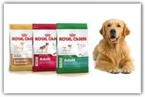 Pet Supplies