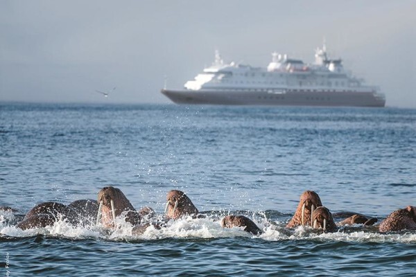 Cruise Vacations