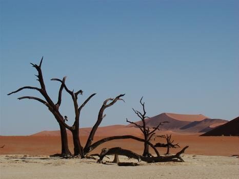 People Like Us Safaris
