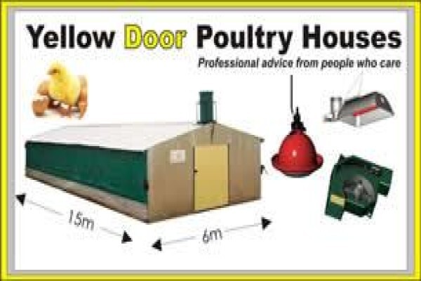 Chicken Shack Agencies