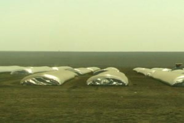 Silobag