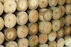Stan'S Timber Supplies