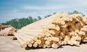 Stan'S Timber Supplies