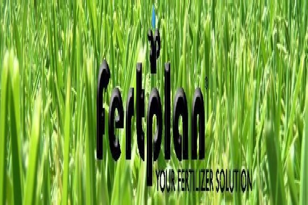 Fertplan