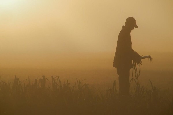 Maine Farmland Trust