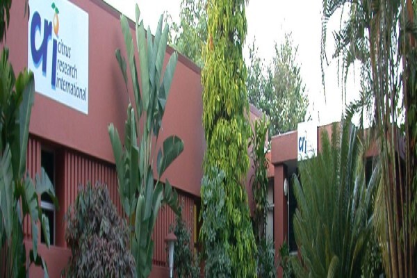 Citrusres