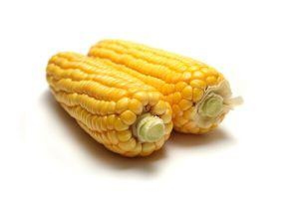 Fertplan