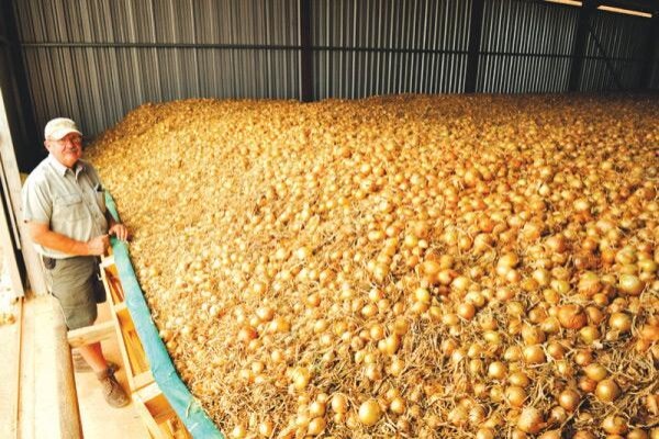 Klein Karoo Seed Production