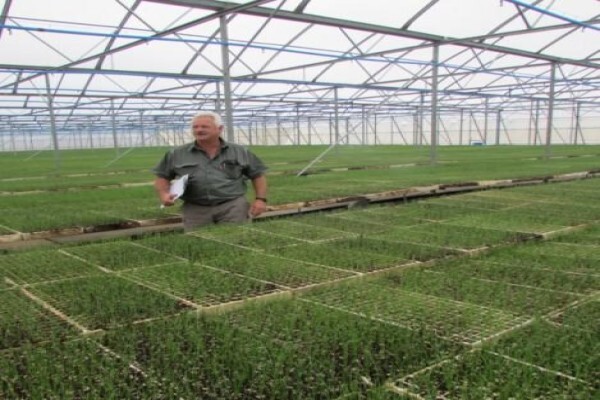 Klein Karoo Seed Production
