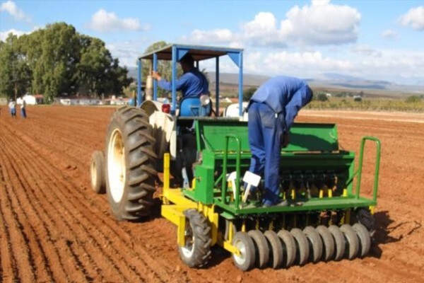 Klein Karoo Seed Production