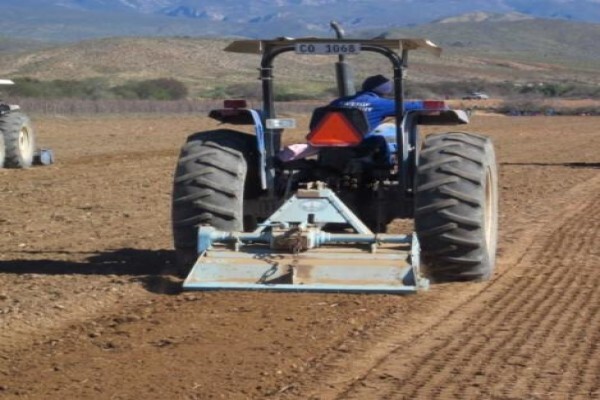Klein Karoo Seed Production