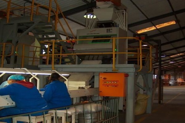 Klein Karoo Seed Production