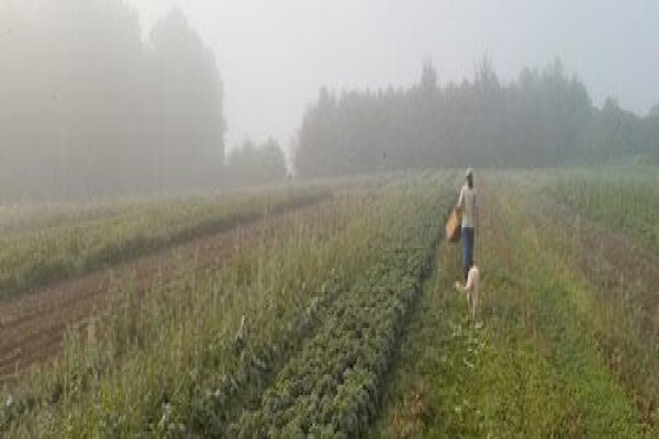 Maine Farmland Trust