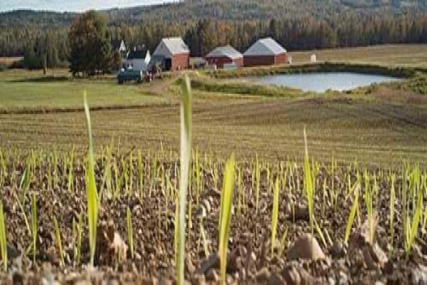 Maine Farmland Trust
