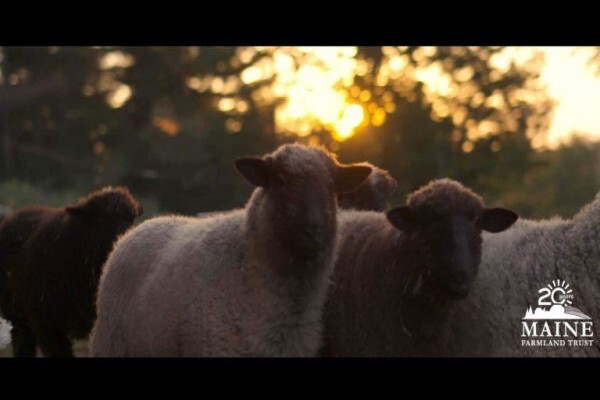 Maine Farmland Trust