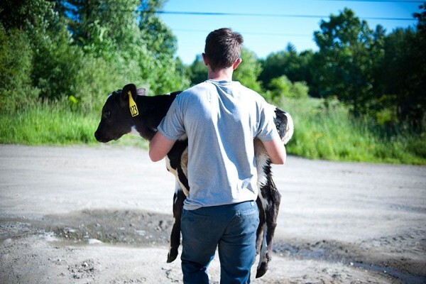 Maine Farmland Trust