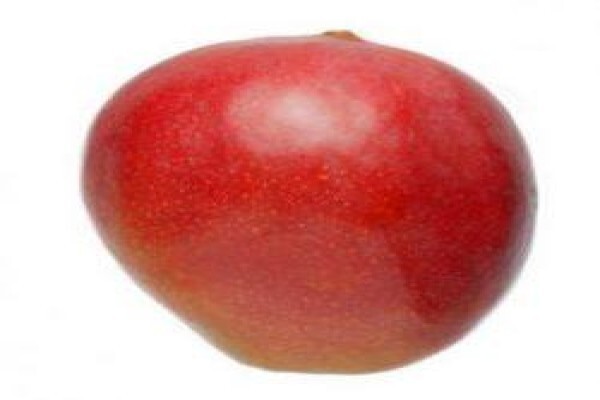 South African Mango Growers' Association