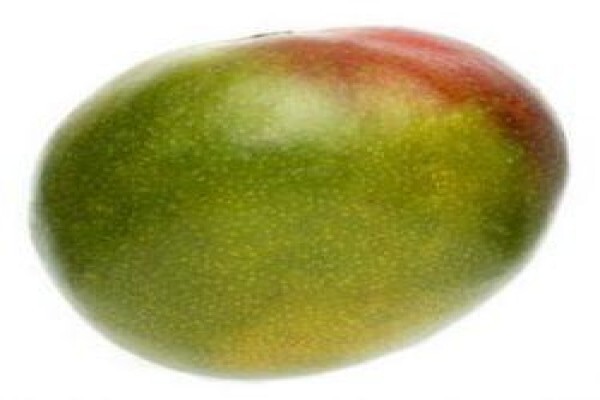 South African Mango Growers' Association