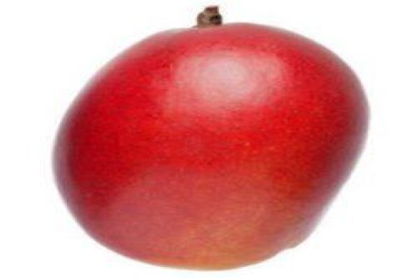 South African Mango Growers' Association