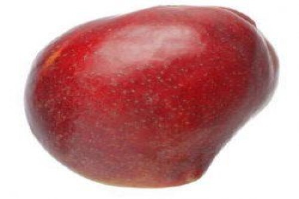 South African Mango Growers' Association