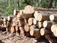 Stan'S Timber Supplies