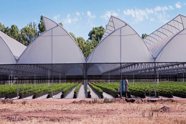 Vegtech