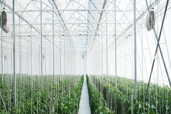 Vegtech