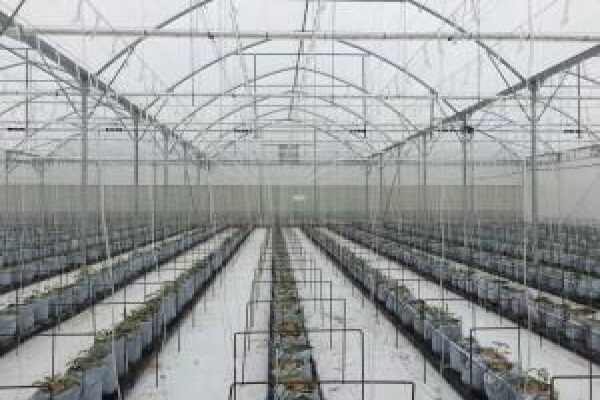 Vegtech