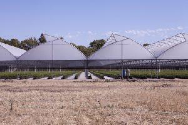 Vegtech