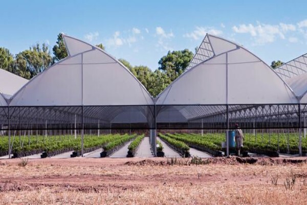 Vegtech