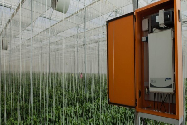Vegtech