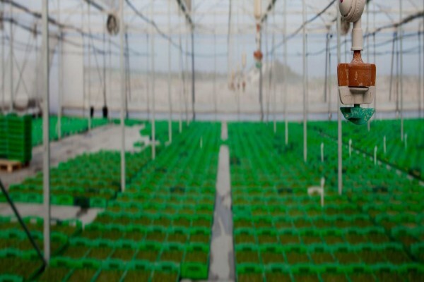Vegtech