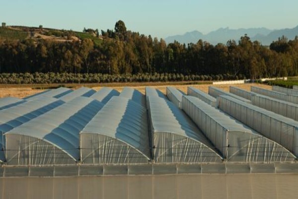 Vegtech