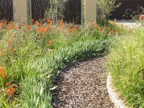 Create A Landscape
