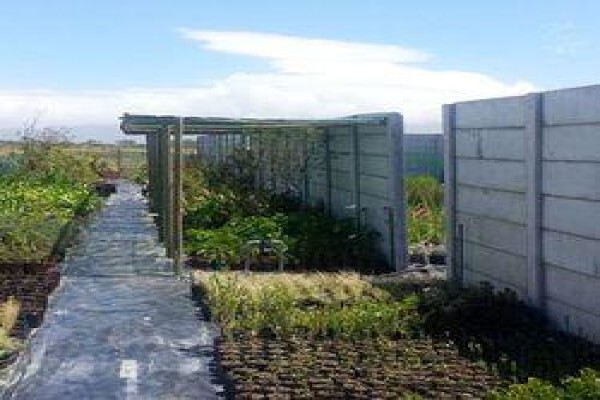 Disa Irrigation