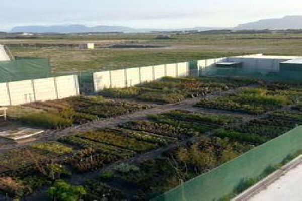 Disa Irrigation