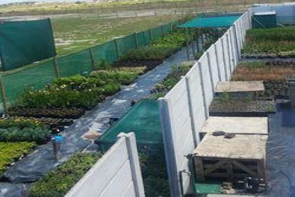 Disa Irrigation
