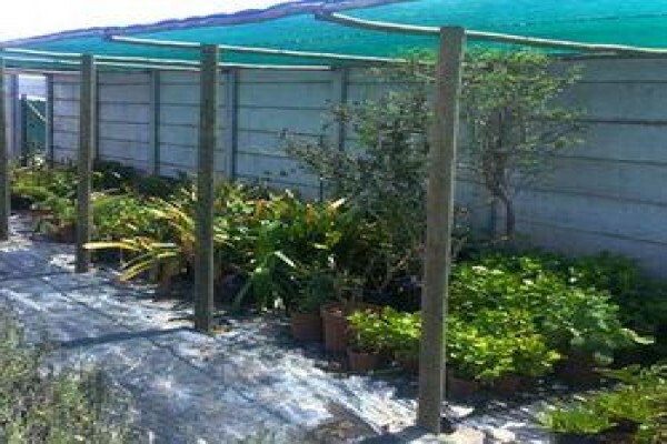 Disa Irrigation