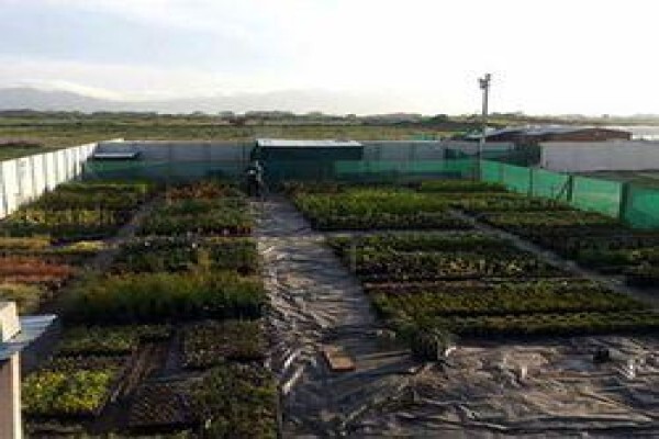 Disa Irrigation