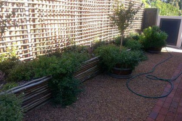 Disa Irrigation