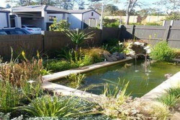 Disa Irrigation