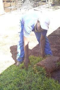 Go Green Lawn Services
