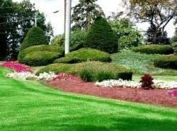 Profusion Irrigation Pumps And Lawn
