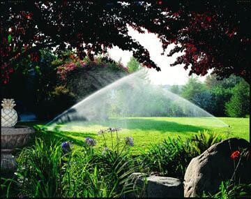 Secure Irrigation & Landscaping