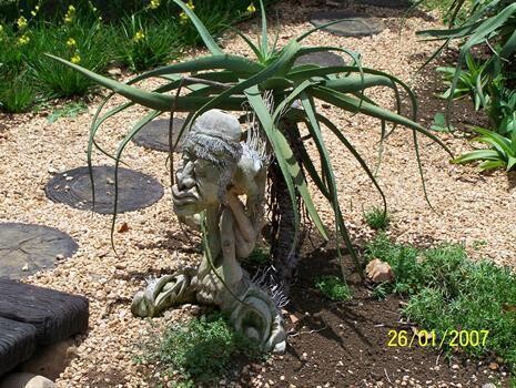 Garden Guru Landscapes