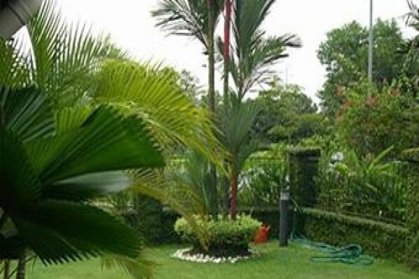 Nyasha Garden